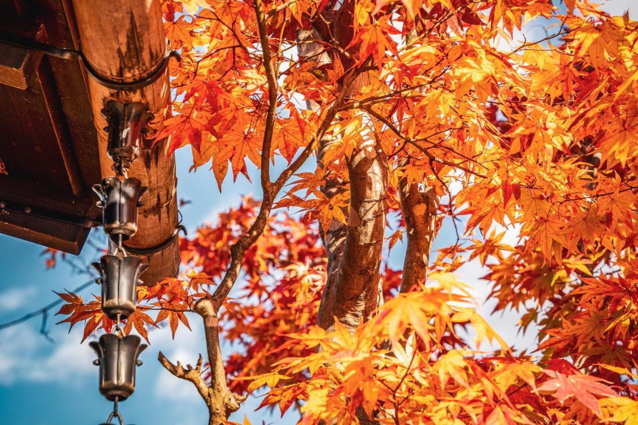 Yamakikan Naganohara Dış mekan fotoğraf
