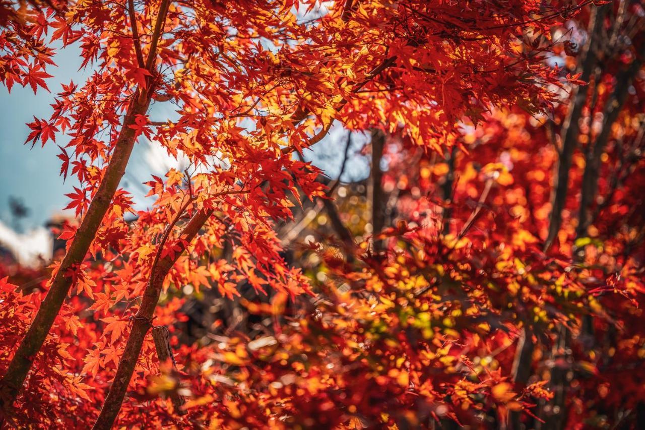 Yamakikan Naganohara Dış mekan fotoğraf